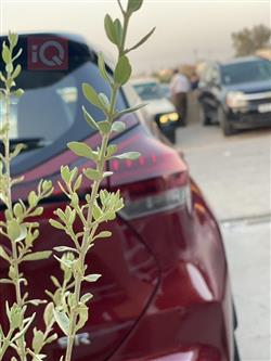 نيسان كيكس